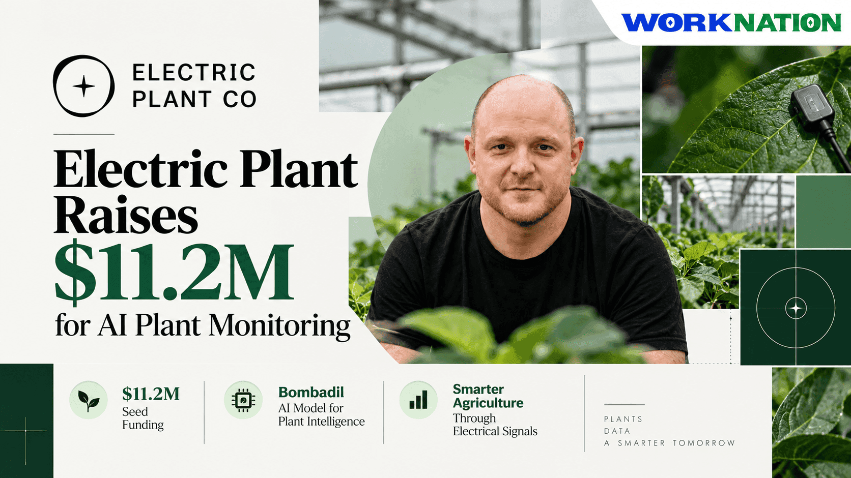 Electric Plant Raises $11.2M to Build AI That Deciphers Electrical Signals in Plants